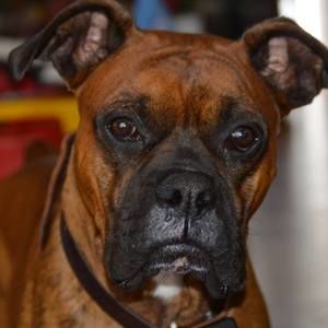 Meet your Posher, Donna